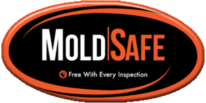 mold-safe-information